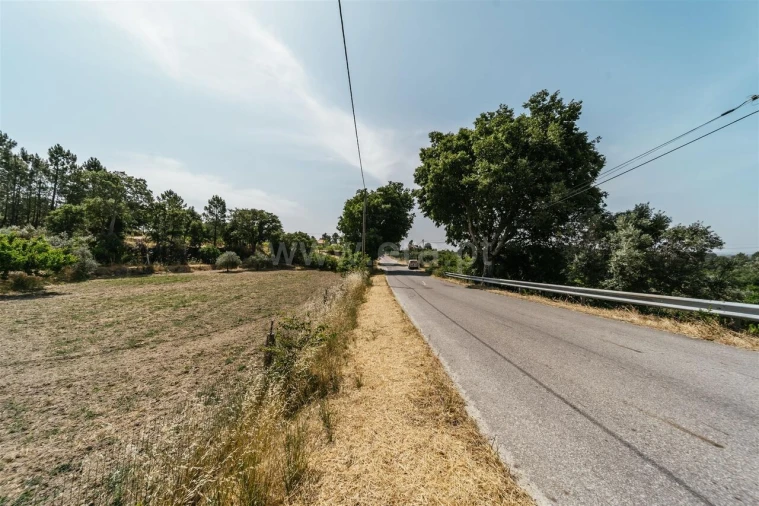 Terreno para Venda em Vale de Prazeres e Mata da Rainha Foto 1