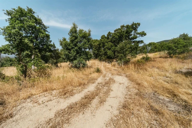 Terreno para Venda em Vale de Prazeres e Mata da Rainha Foto 11