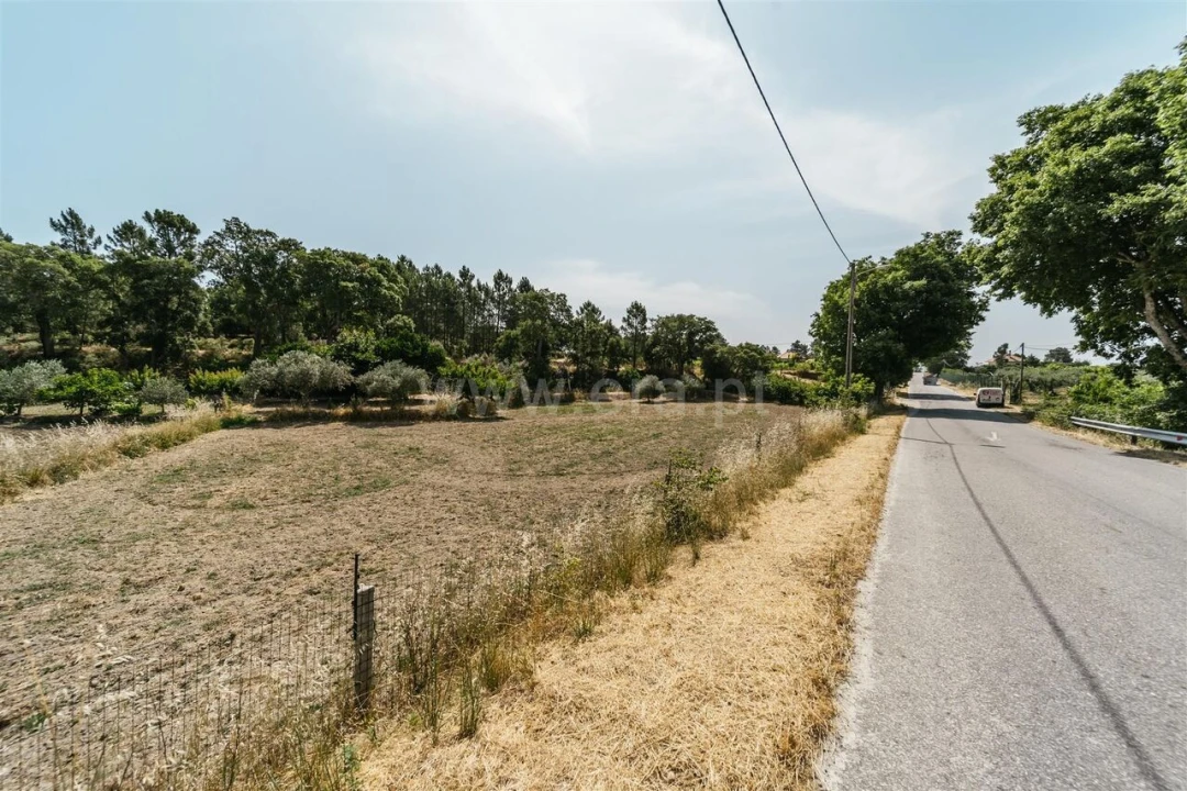Terreno para Venda em Vale de Prazeres e Mata da Rainha Foto 16