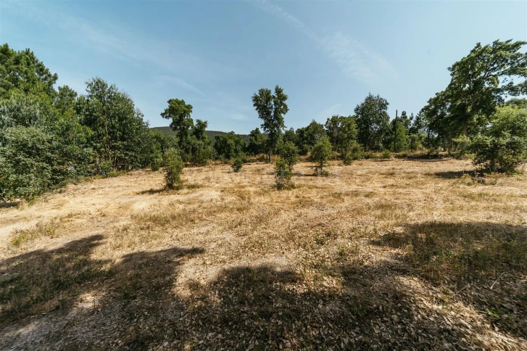 Terreno para Venda em Vale de Prazeres e Mata da Rainha Foto 6