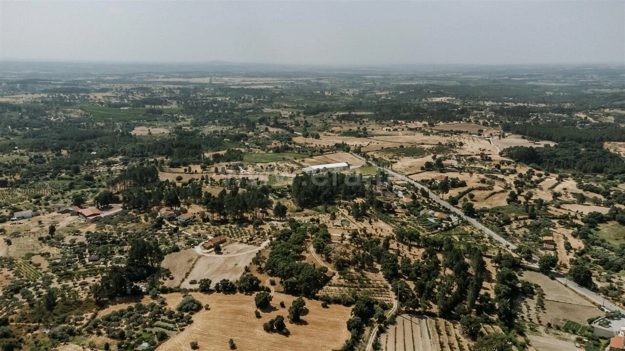 Terreno para Venda em Vale de Prazeres e Mata da Rainha Foto 19
