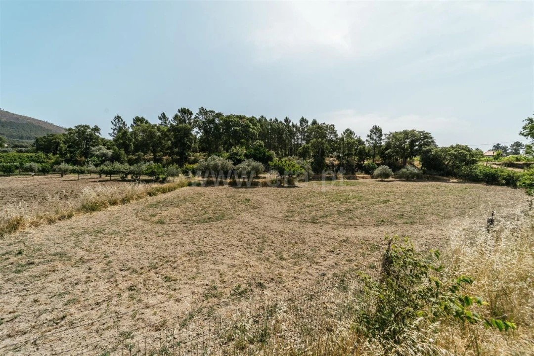Terreno para Venda em Vale de Prazeres e Mata da Rainha Foto 17