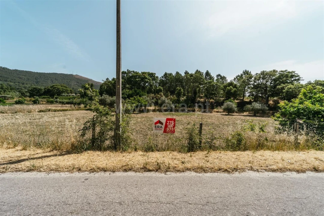 Terreno para Venda em Vale de Prazeres e Mata da Rainha Foto 15