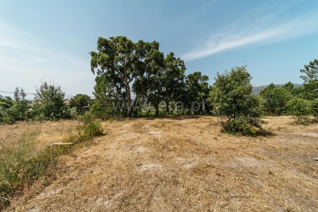Terreno para Venda em Vale de Prazeres e Mata da Rainha Foto 7