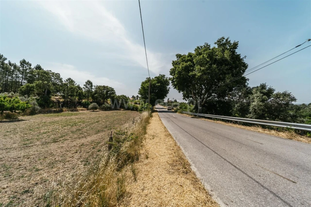 Terreno para Venda em Vale de Prazeres e Mata da Rainha Foto 1