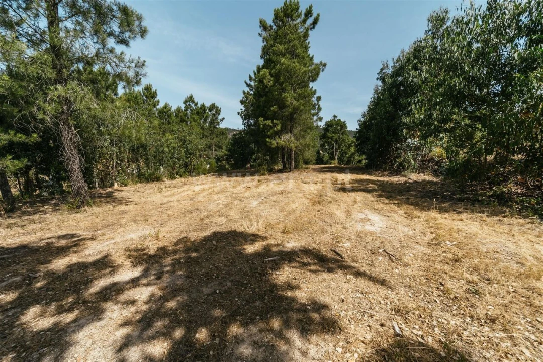 Terreno para Venda em Vale de Prazeres e Mata da Rainha Foto 5