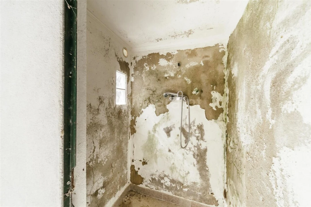 Moradia T2 para Venda em Vale de Prazeres e Mata da Rainha Foto 6