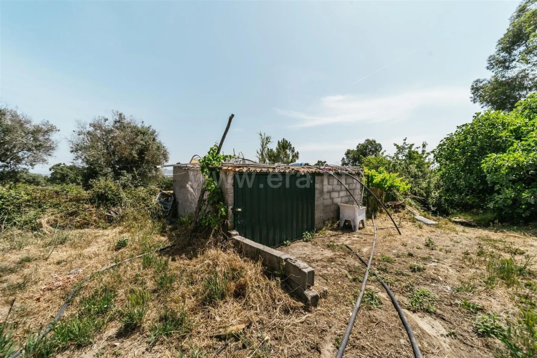 Quinta T1 para Venda em Fundão, Valverde, Donas, A. Joanes, A. Nova Cabo Foto 8