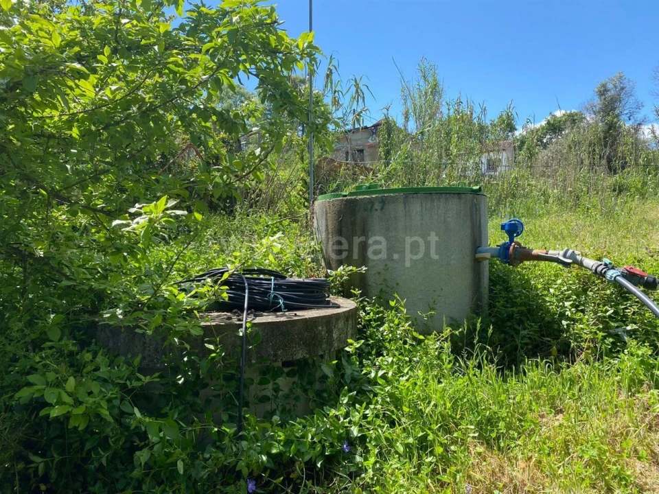 Quinta T1 para Venda em Fundão, Valverde, Donas, A. Joanes, A. Nova Cabo Foto 12