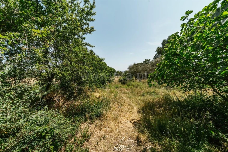 Quinta T1 para Venda em Fundão, Valverde, Donas, A. Joanes, A. Nova Cabo Foto 11