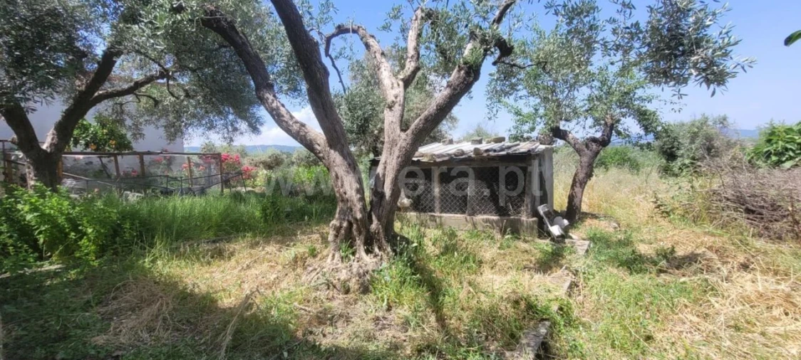 Moradia T2 para Venda em Vale de Prazeres e Mata da Rainha Foto 9