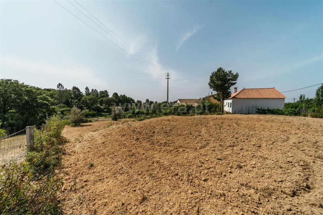 Terreno para Venda em Vale de Prazeres e Mata da Rainha Foto 9