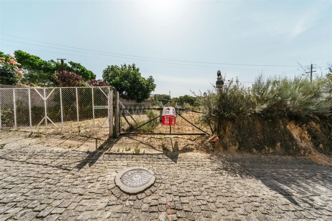 Terreno para Venda em Vale de Prazeres e Mata da Rainha Foto 4