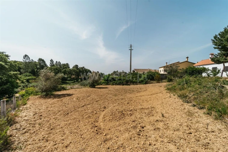 Terreno para Venda em Vale de Prazeres e Mata da Rainha Foto 12