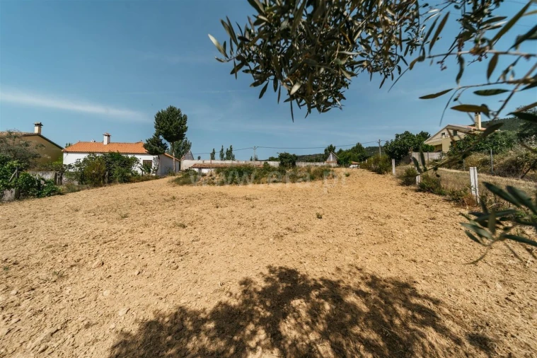 Terreno para Venda em Vale de Prazeres e Mata da Rainha Foto 13