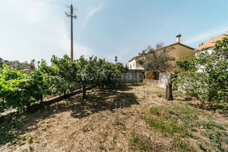 Terreno para Venda em Vale de Prazeres e Mata da Rainha Foto 16