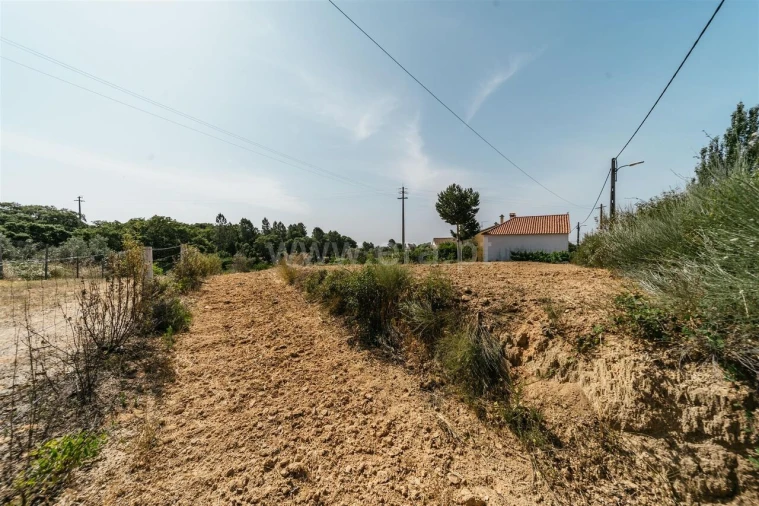 Terreno para Venda em Vale de Prazeres e Mata da Rainha Foto 7