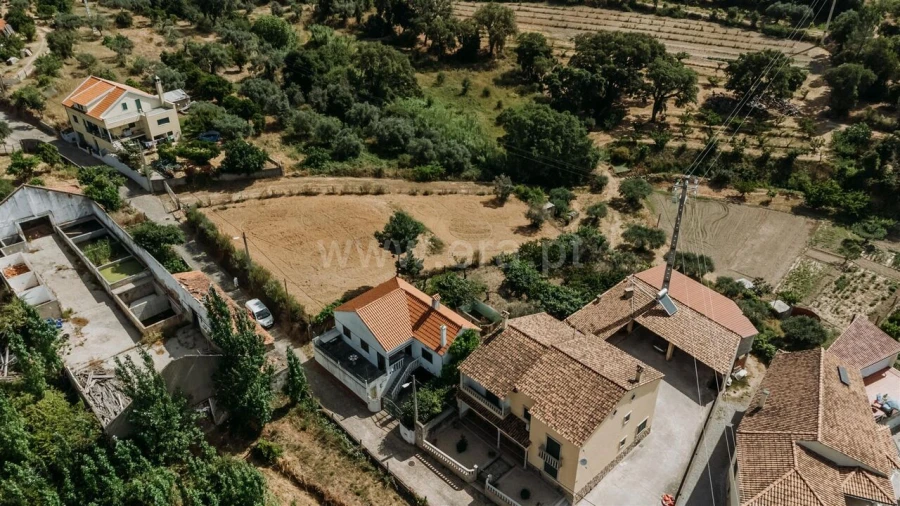 Terreno para Venda em Vale de Prazeres e Mata da Rainha Foto 1