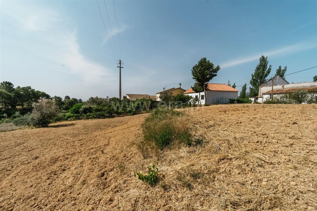 Terreno para Venda em Vale de Prazeres e Mata da Rainha Foto 11