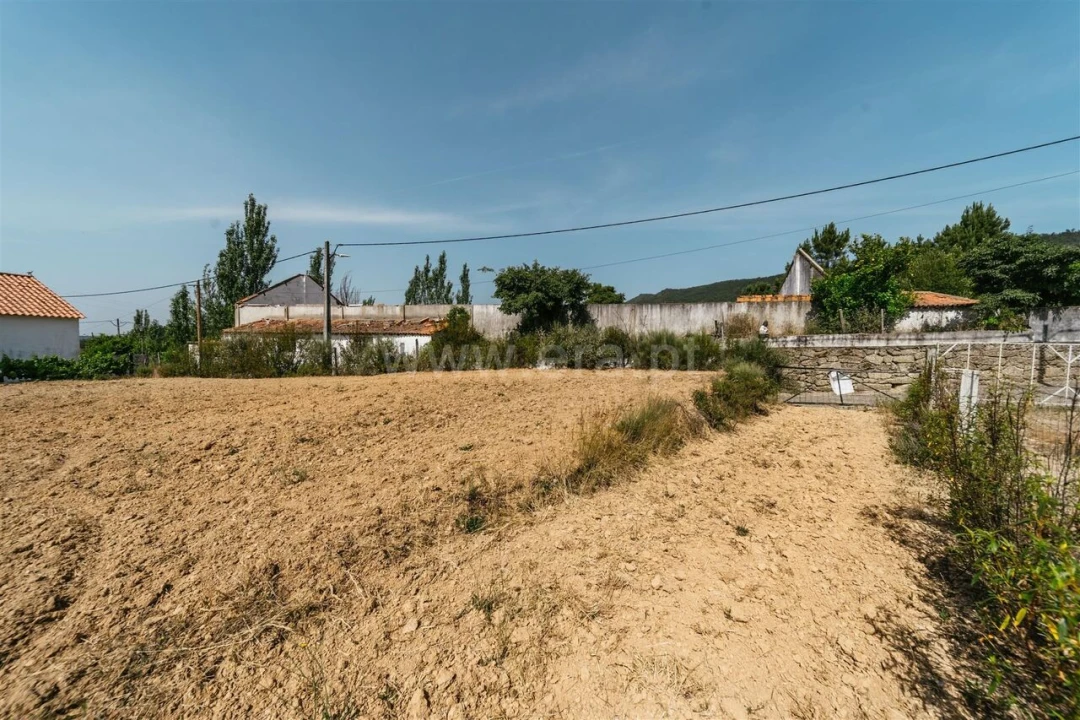 Terreno para Venda em Vale de Prazeres e Mata da Rainha Foto 10