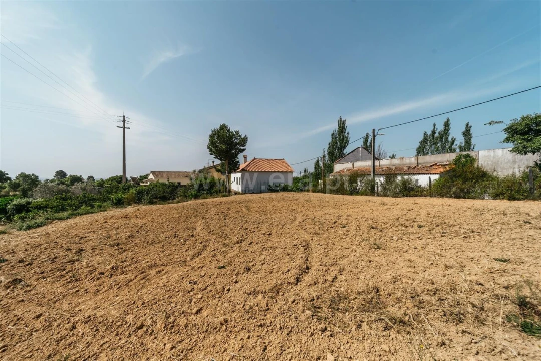 Terreno para Venda em Vale de Prazeres e Mata da Rainha Foto 8