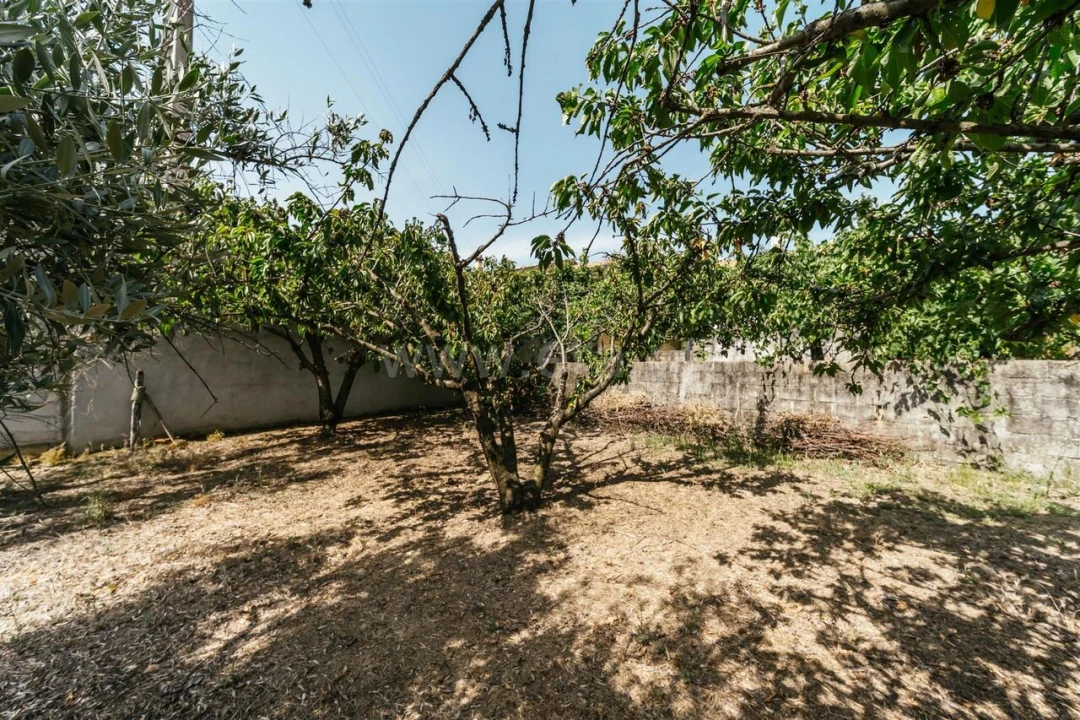Terreno para Venda em Vale de Prazeres e Mata da Rainha Foto 15