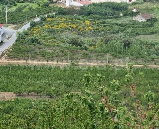 Quinta T1 para Venda em Fundão, Valverde, Donas, A. Joanes, A. Nova Cabo