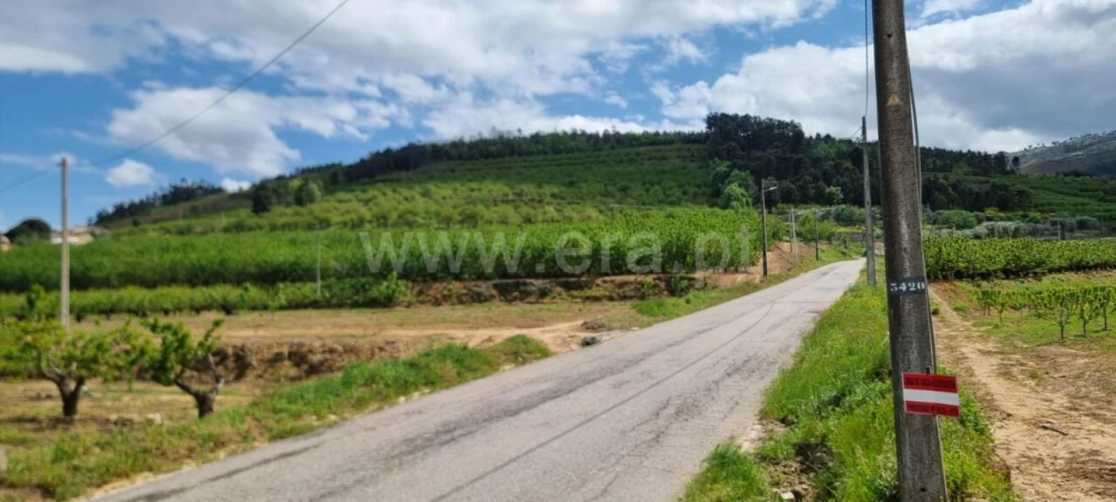 Quinta T1 para Venda em Fundão, Valverde, Donas, A. Joanes, A. Nova Cabo Foto 2