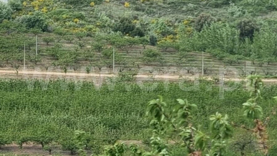 Quinta T1 para Venda em Fundão, Valverde, Donas, A. Joanes, A. Nova Cabo