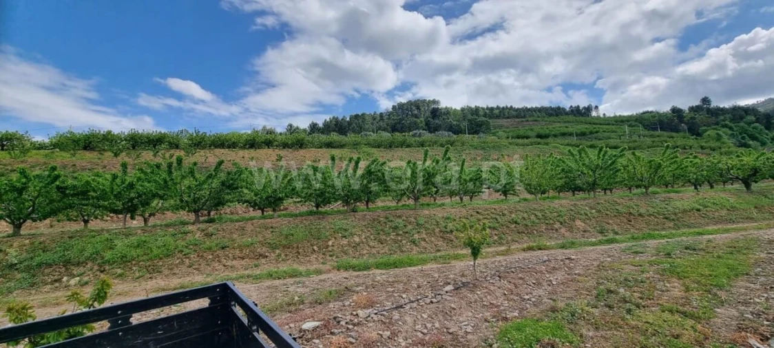 Quinta T1 para Venda em Fundão, Valverde, Donas, A. Joanes, A. Nova Cabo Foto 11