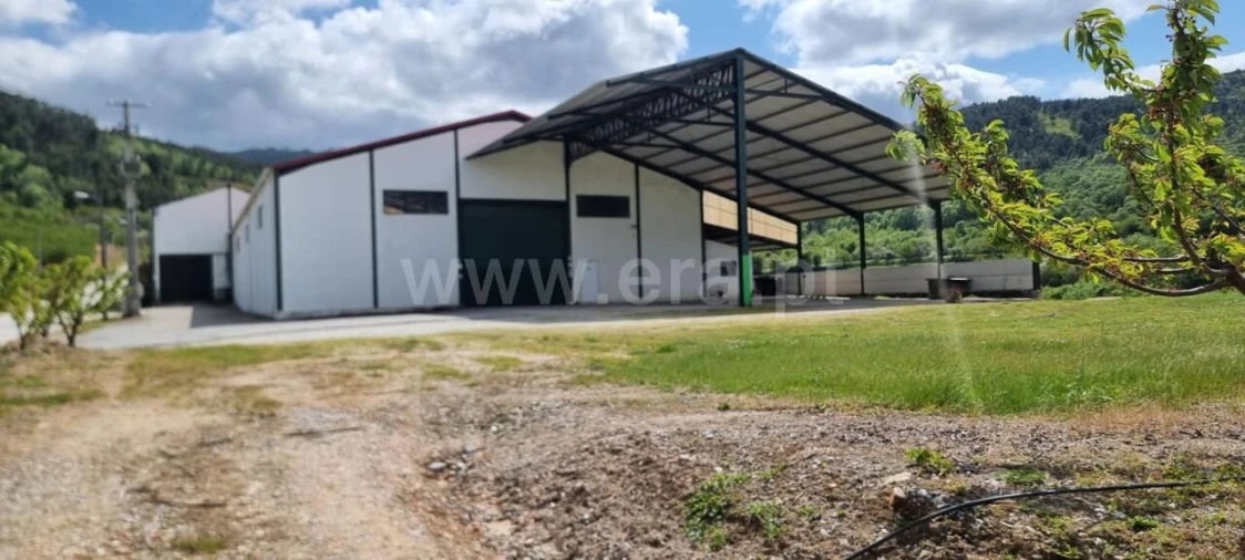 Quinta T1 para Venda em Fundão, Valverde, Donas, A. Joanes, A. Nova Cabo