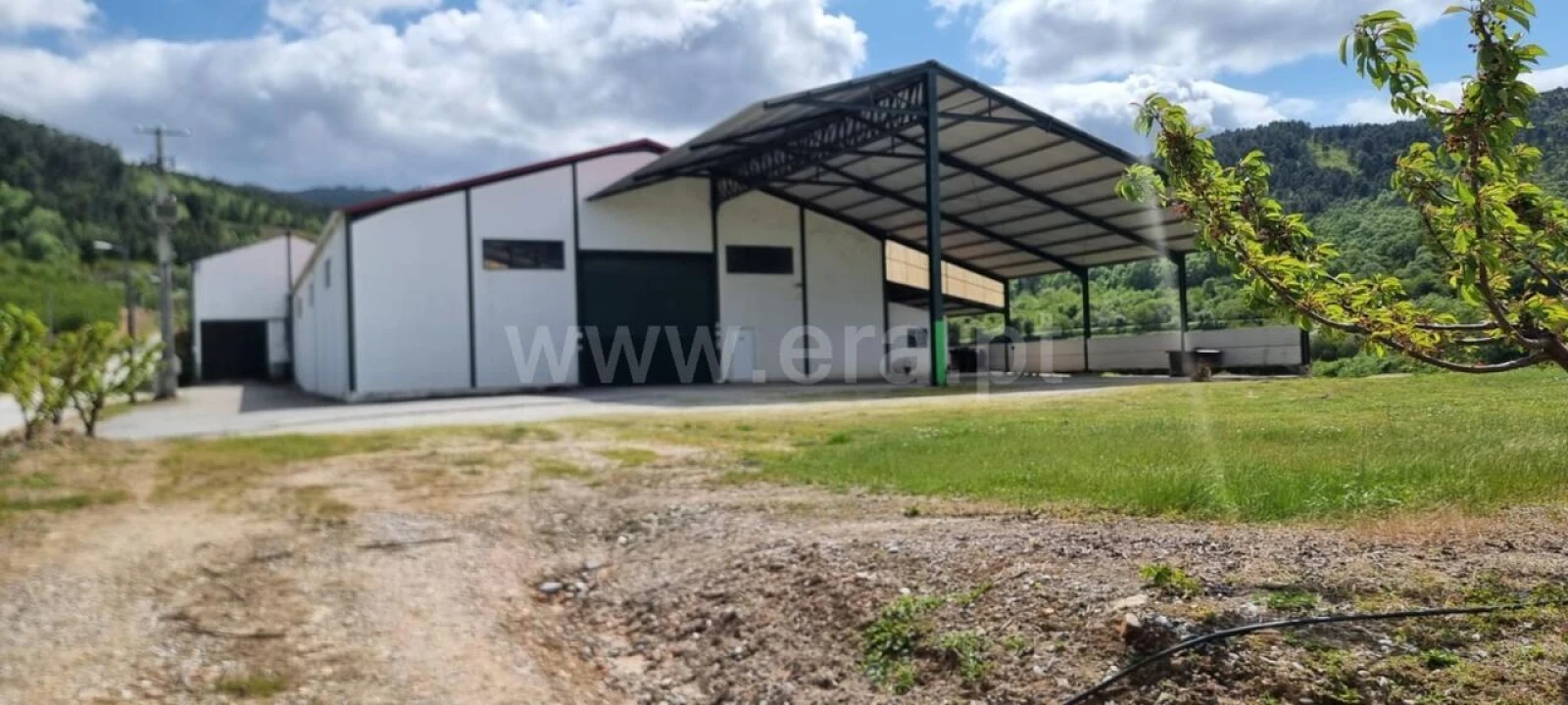 Quinta T1 para Venda em Fundão, Valverde, Donas, A. Joanes, A. Nova Cabo Foto 1