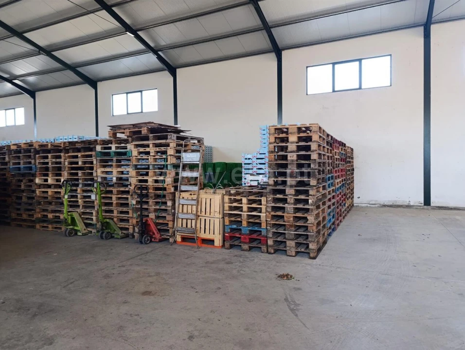 Quinta T1 para Venda em Fundão, Valverde, Donas, A. Joanes, A. Nova Cabo Foto 3