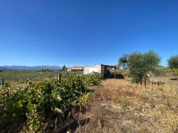 Terreno para Venda em Fundão, Valverde, Donas, A. Joanes, A. Nova Cabo