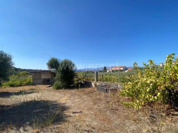 Terreno para Venda em Fundão, Valverde, Donas, A. Joanes, A. Nova Cabo