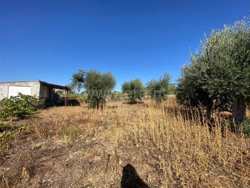 Terreno para Venda em Fundão, Valverde, Donas, A. Joanes, A. Nova Cabo Foto 3