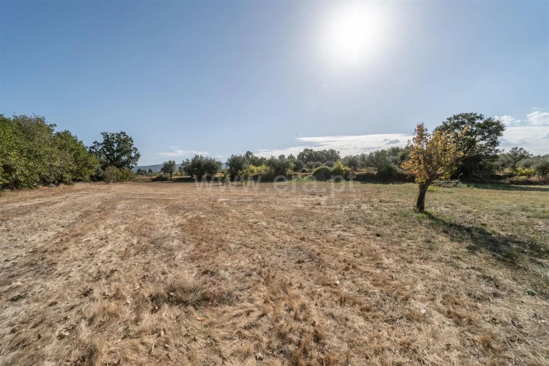 Terreno para Venda em Fundão, Valverde, Donas, A. Joanes, A. Nova Cabo Foto 1