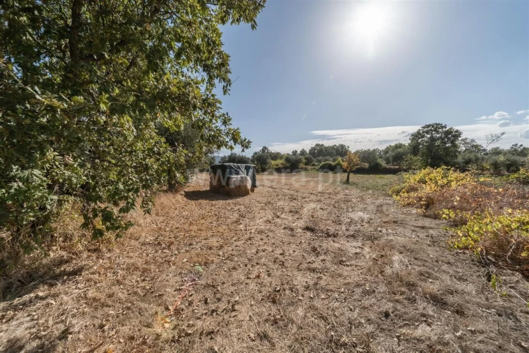 Terreno para Venda em Fundão, Valverde, Donas, A. Joanes, A. Nova Cabo Foto 4