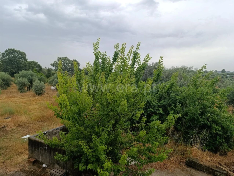 Quinta T2 para Venda em Póvoa de Atalaia e Atalaia do Campo Foto 2