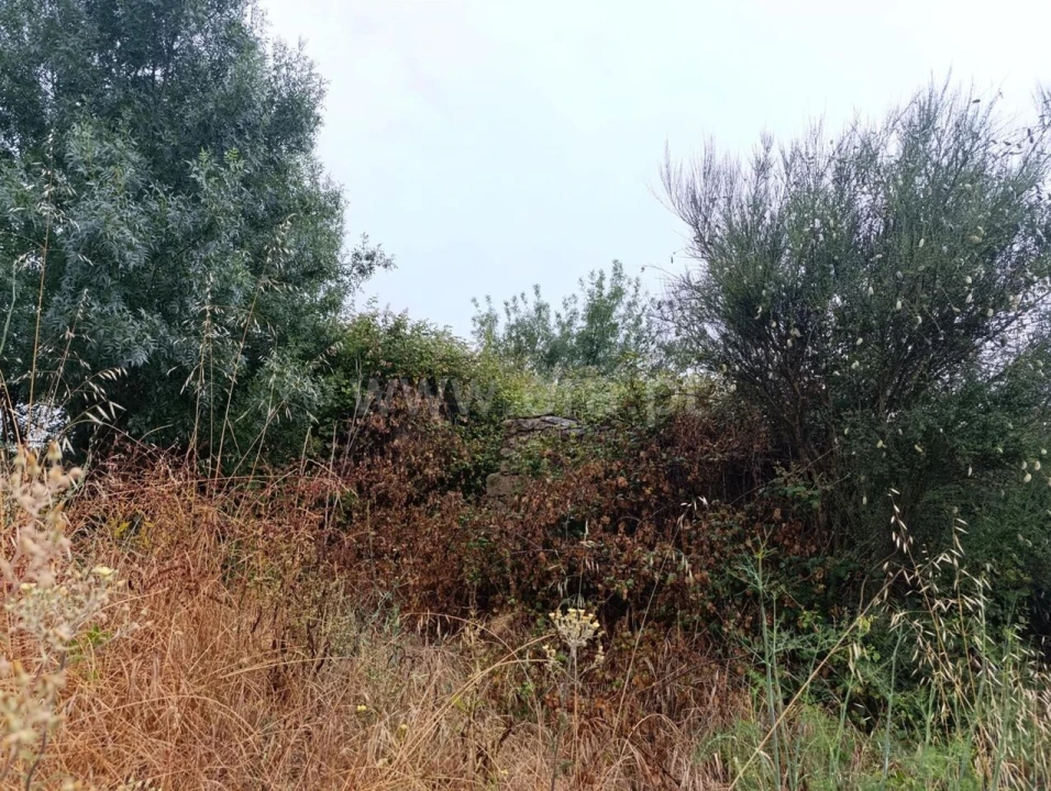 Quinta T2 para Venda em Póvoa de Atalaia e Atalaia do Campo Foto 5