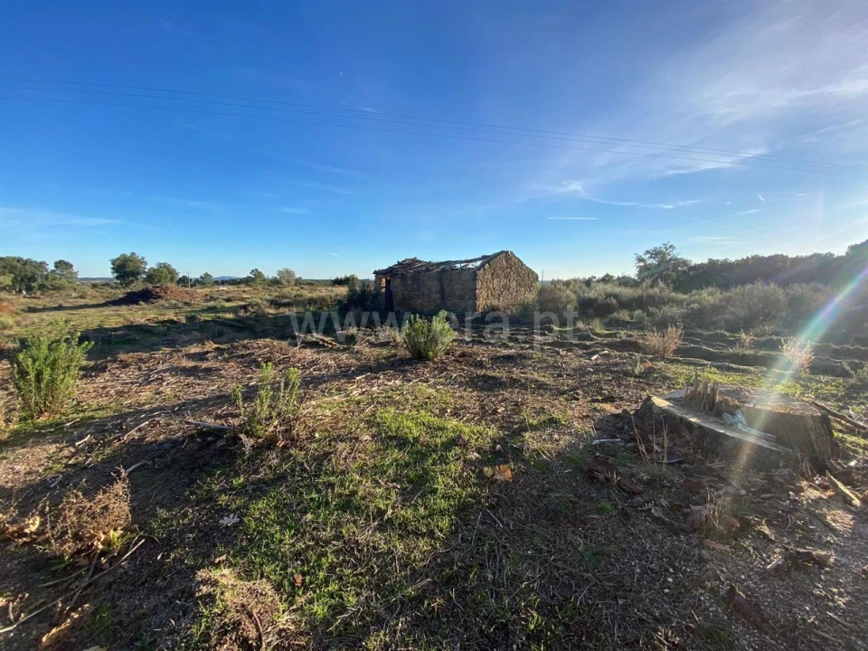 Quinta T1 para Venda em Vale de Prazeres e Mata da Rainha Foto 1