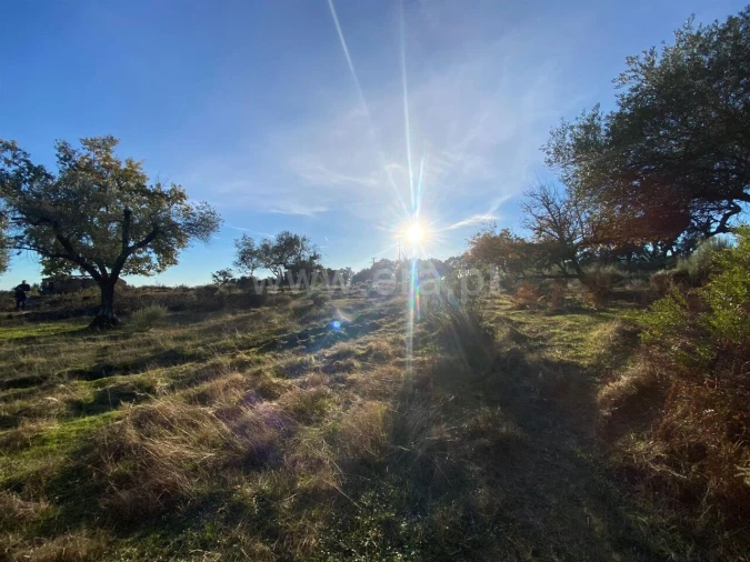Quinta T1 para Venda em Vale de Prazeres e Mata da Rainha Foto 6