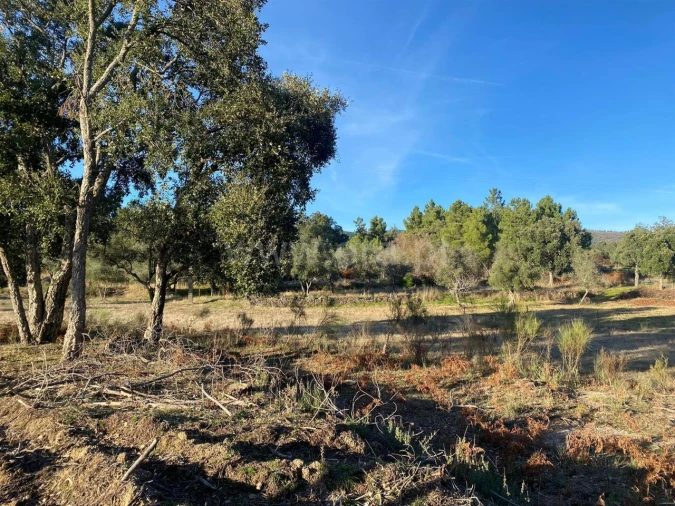 Quinta T1 para Venda em Vale de Prazeres e Mata da Rainha Foto 11