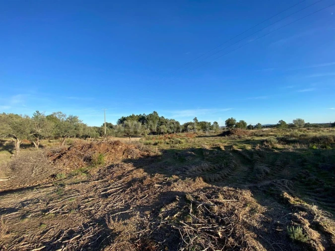 Quinta T1 para Venda em Vale de Prazeres e Mata da Rainha Foto 4