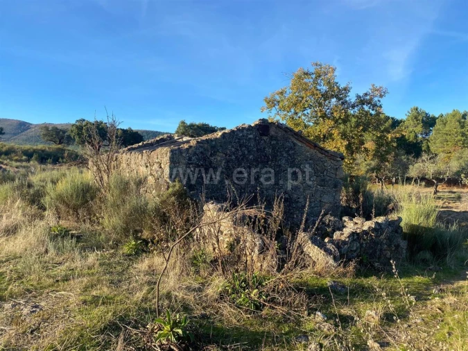 Quinta T1 para Venda em Vale de Prazeres e Mata da Rainha Foto 2