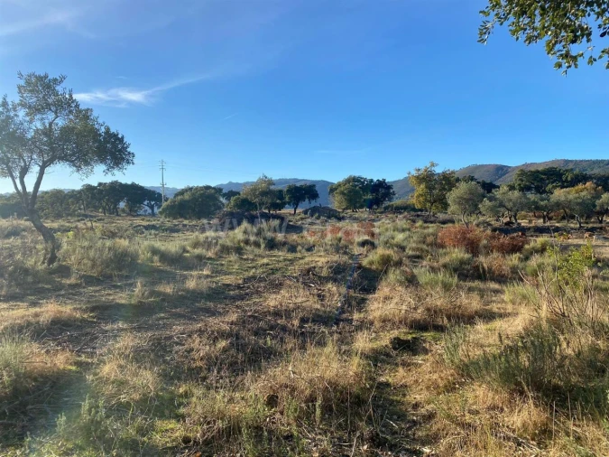 Quinta T1 para Venda em Vale de Prazeres e Mata da Rainha Foto 9