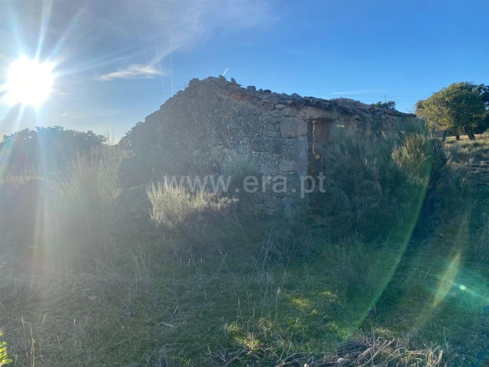 Quinta T1 para Venda em Vale de Prazeres e Mata da Rainha Foto 7