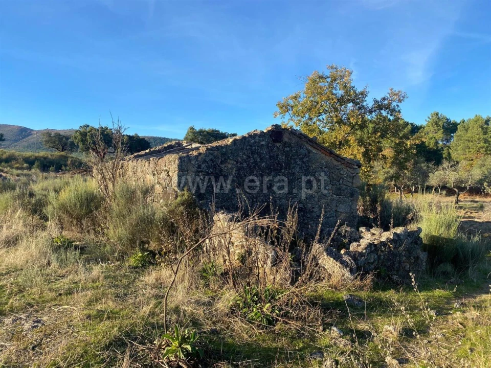 Quinta T1 para Venda em Vale de Prazeres e Mata da Rainha Foto 2