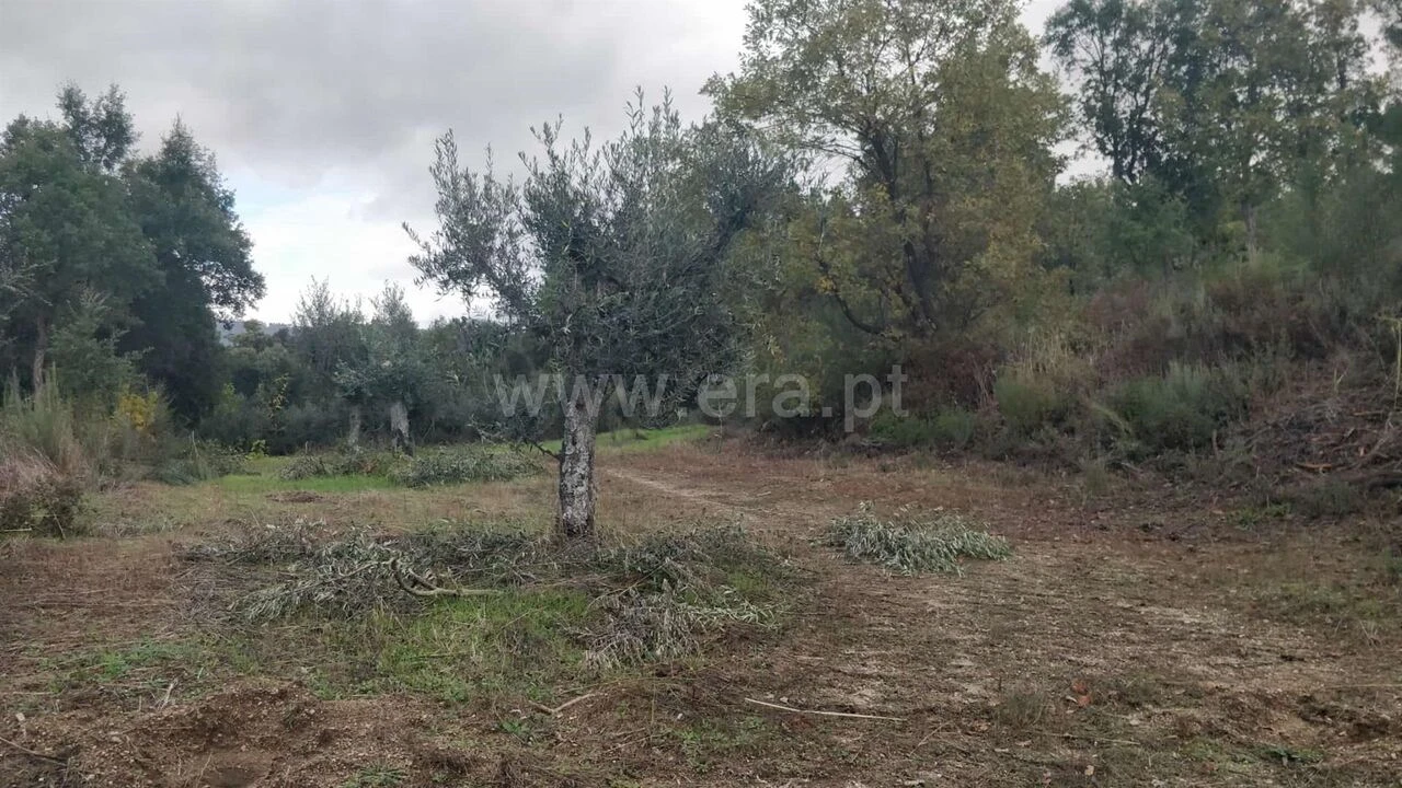 Terreno para Venda em Póvoa de Atalaia e Atalaia do Campo Foto 1