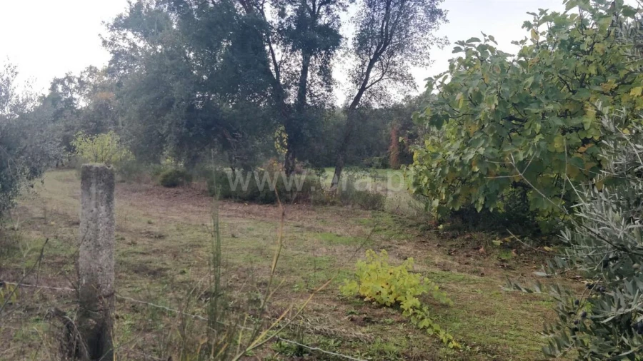 Terreno para Venda em Póvoa de Atalaia e Atalaia do Campo Foto 19